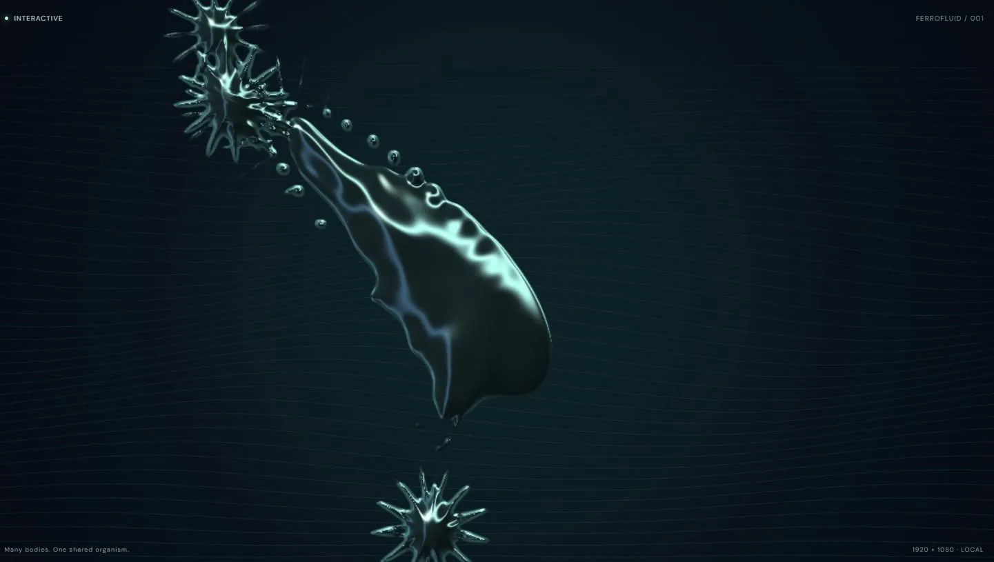 FERAL organism splitting between two spiked forms