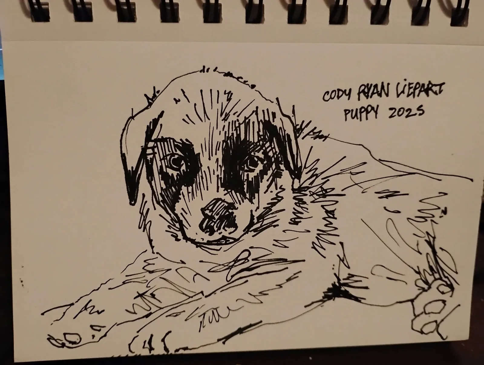 CODY RYAN LIEPART PUPPY ink portrait, 2025