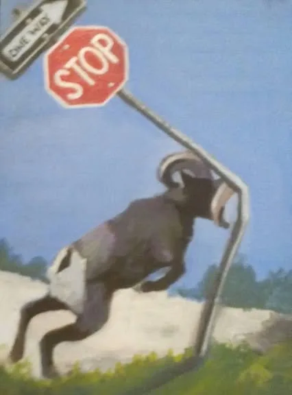 Acrylic painting of a bighorn sheep ramming a stop sign