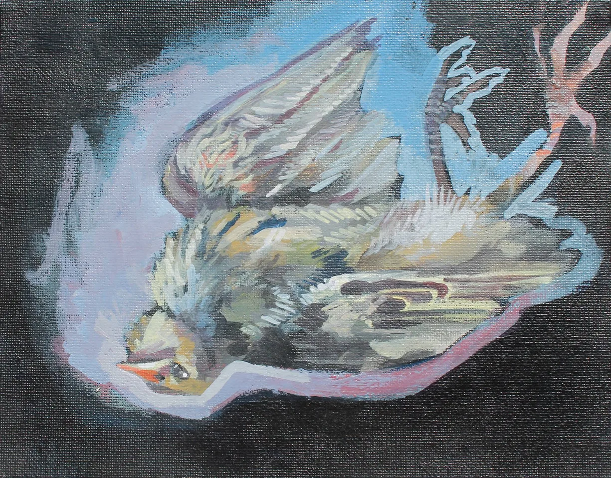 Acrylic painting of a dead bird on its back against a dark ground